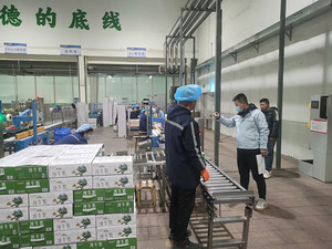 現(xiàn)場采樣.jpg